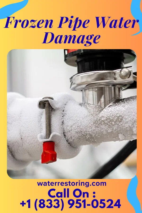Frozen Pipe Water Damage in Big Flat, AR